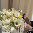 파마의집 | 성신여대 히피펌 잘하는 집, 성신파마의 집