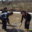 평온1리 마을회관 이미지