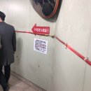 쌍둥이네건어물 | 노량진 대방어 맛집 신시장 보람수산, 쌍둥이네 솔직후기