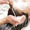 머리박사 이미지