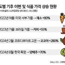 플레이션 이미지