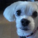 공단사거리 이미지