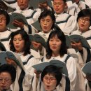 호산나 - 중구 남대문시장8길 14 | 호산나