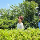 팔팔세탁소 이미지