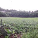 별빛누리 민박 이미지