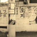 어선생 이미지