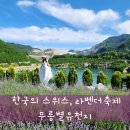 꽃수레화원 - 공주시 국고개길 13 | 국내여행지 추천 한국의 스위스 동해ㅣ무릉별유천지ㅣ라벤더축제, 포토존