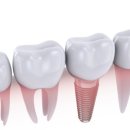 둔산북로 이미지