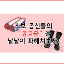 초보 곰신들의 궁금증을 낱낱이 파헤쳐보자! 이미지