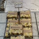 브런치로뎀 | 검단신도시 빵집 : 아라역 두쫀쿠 세트 후기 한상민과자점 검단신도시점