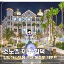 지중해펜션.모텔 | 함덕해수욕장 숙소 소노벨 제주 제주도 리조트 가족숙소 추천