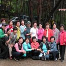 토지초등학교 이미지