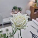 마로_꽃 네이버블로그