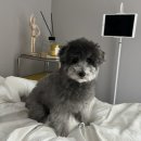 비마인 독 | [일상블로그] File zip,