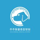 우리들동물종합병원 | 동대문 주주동물종합병원 오로레이저 도입!