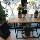 텀브커피 이미지