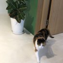 우리동네30분의원 이미지