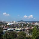 신흥초교 이미지