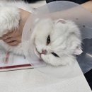 보담동물병원 이미지