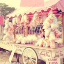 Cotton Candy :) 이미지