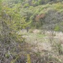 미더스공인중개사사무소 이미지