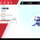세레비 이미지