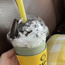 꽃놀이와 함께한 4월 일상
