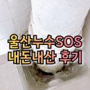 울산 매곡동 생활유적 | 울산 중구 구축 아파트 누수 울산 누수 업체 누수 SOS로 해결한 내 돈 내 산 후기