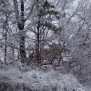 진위고등학교 이미지