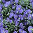 대구봉무초등학교 이미지