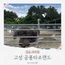 애니카랜드 경남고성점 | 경남 아이랑 가볼만한곳 색다른 이색동물 카페 공룡타조랜드 체험후기
