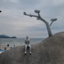 세파에 따르지 이미지