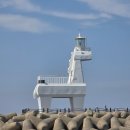 해솔농장 | 제주 미니버스 렌트 기사포함 예약 방법과 후기