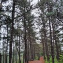 무주읍196 이미지