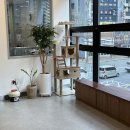 소정동물병원 | 야간에도 비용 부담 없어서 선택한 대형 동물병원 방문 후기