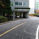 수원-1164 이미지