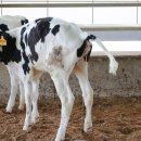 태원농장 이미지