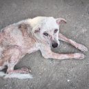 하임동물의료센터 이미지