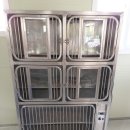 도그파파 이미지