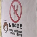 보석탕후루 세계일보