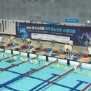 제8회 여수시장배 전국 마스터즈 수영대회(김도민, 조철언 접영) 이미지