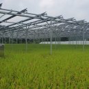 햇빛농장 이미지