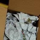 달카&#34;물토끼남&#34;님 금와 분양후기