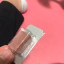 호원종합동물병원 이미지