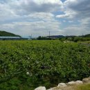 경주코튼빌리지 이미지