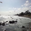 주상절리횟집 이미지