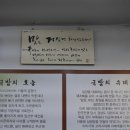 밀성돼지국밥