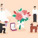 더플러스 행정사 사무소 이미지