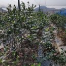 대환 농장 이미지