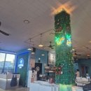 금강해물탕 | 바다다조개다 애견 동반 가능한 해물전골 맛집! 치즈 가리비 구이에 소주 한 잔, 셋이서 힐링하고 온 후기